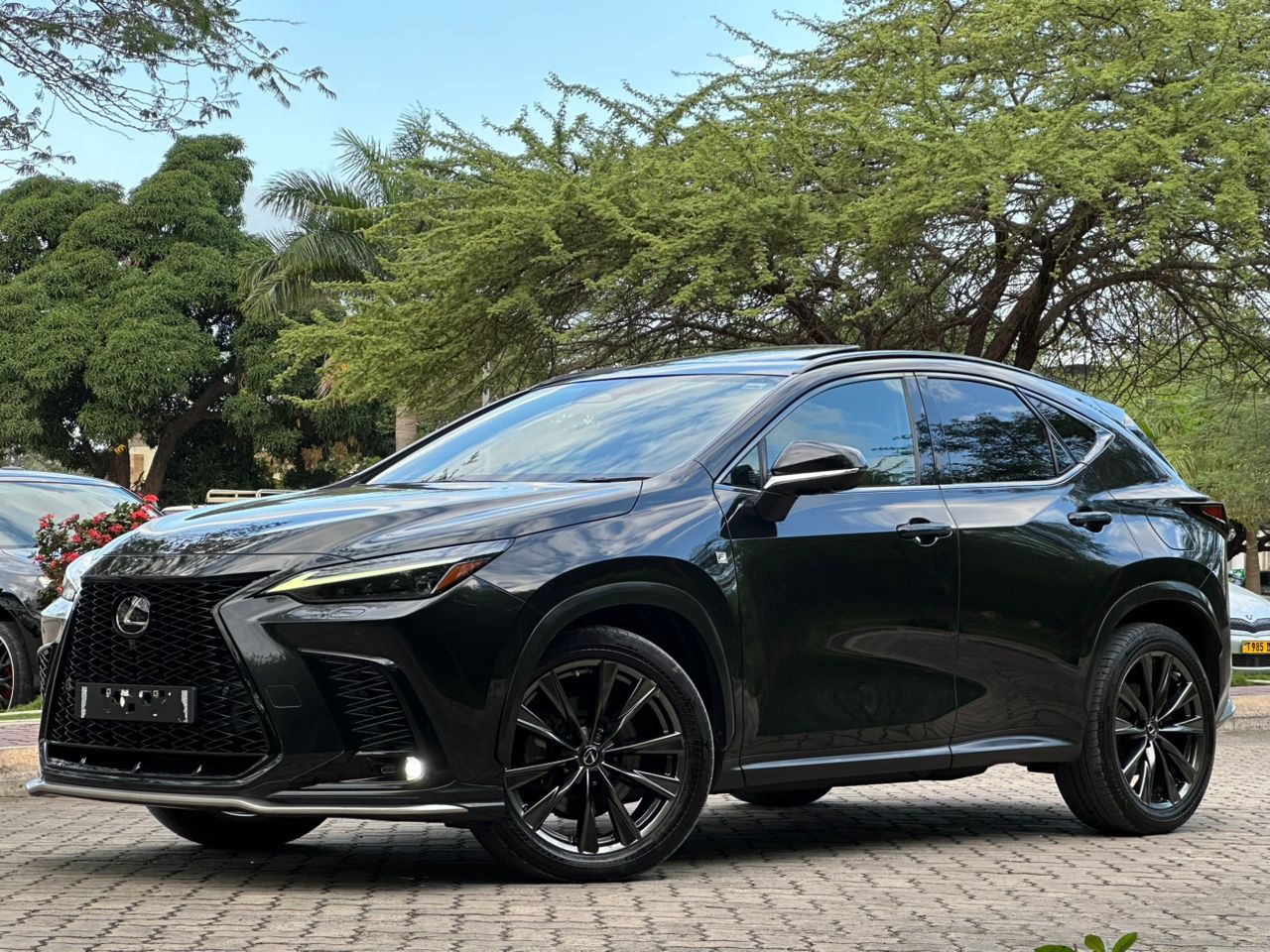 LEXUS thumbnail 5